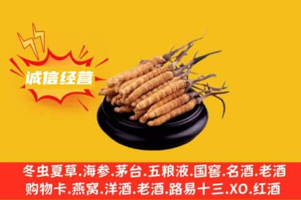 东莞市横沥镇回收冬虫夏草